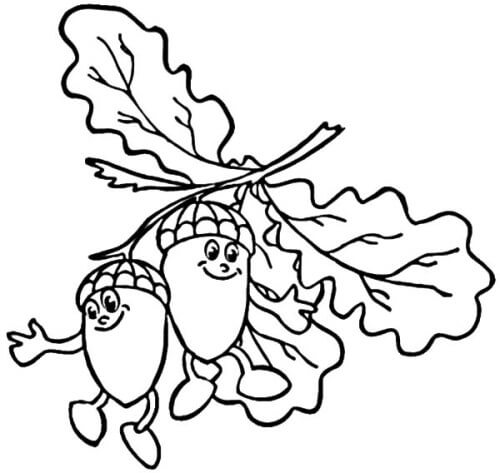 dibujo dos bellotas para colorear