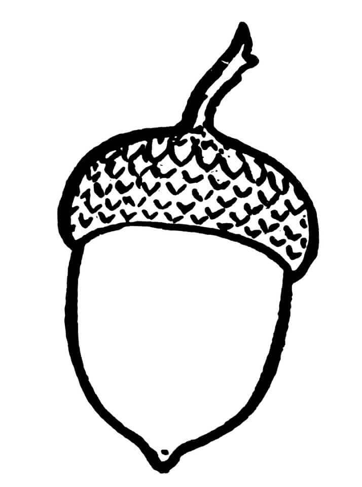 dibujo sonrisas de bellota para colorear