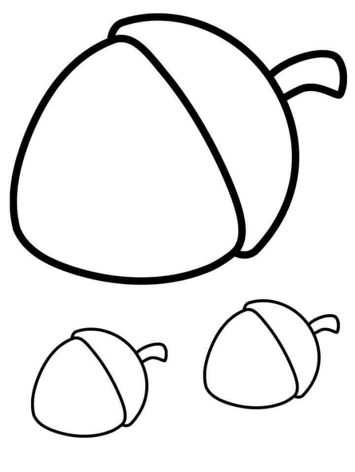 dibujo tres bellotas para colorear