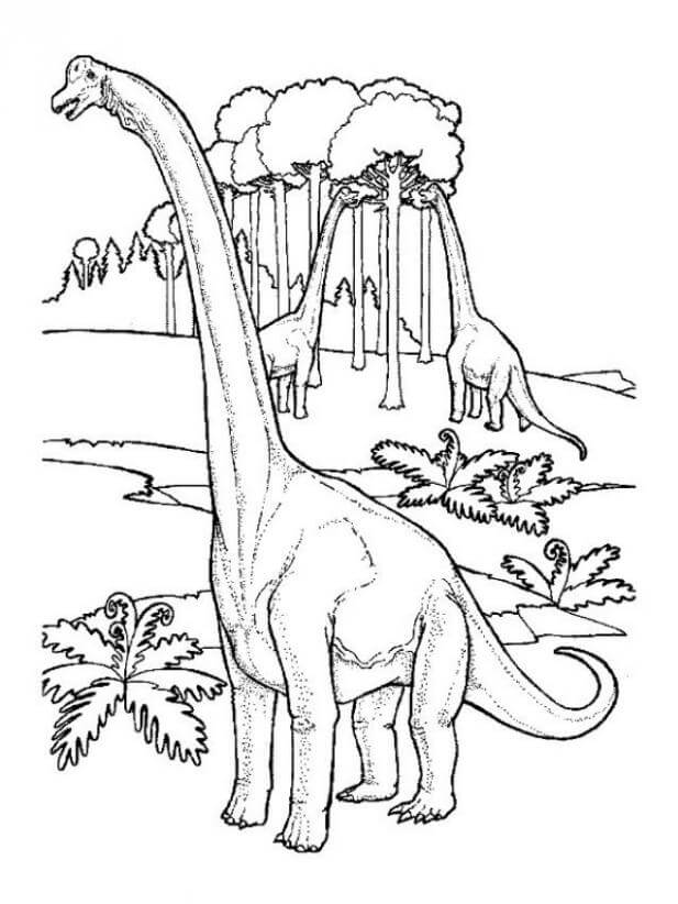 Dibujo de Tres Brontosaurios para Colorear y Imprimir