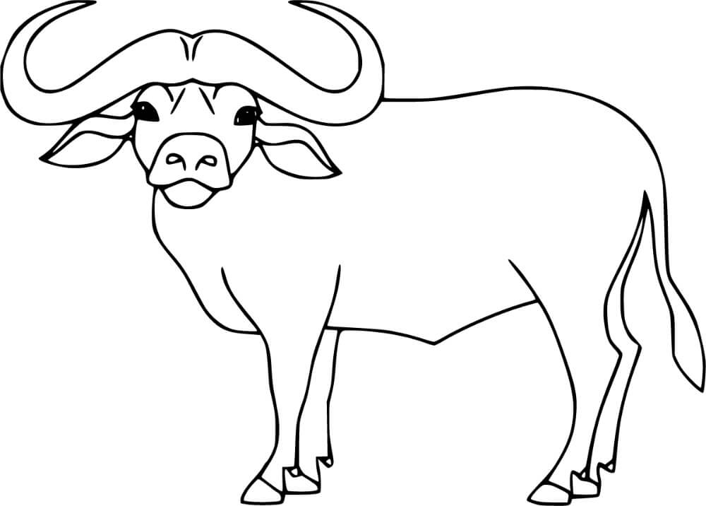 Dibujo de Bufalo Adorable para Colorear y Imprimir