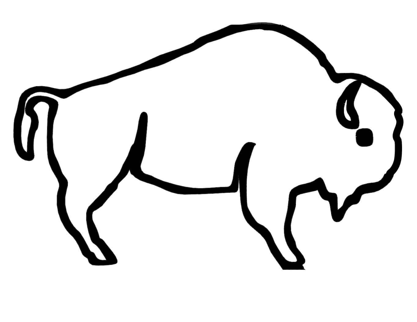 Dibujo de Bufalo Americano Fácil para Colorear y Imprimir