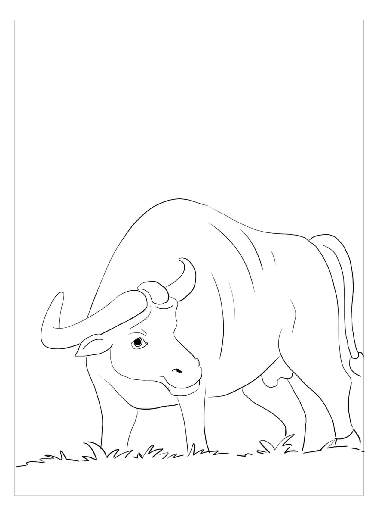Dibujo de Bufalo Con Hierba para Colorear y Imprimir