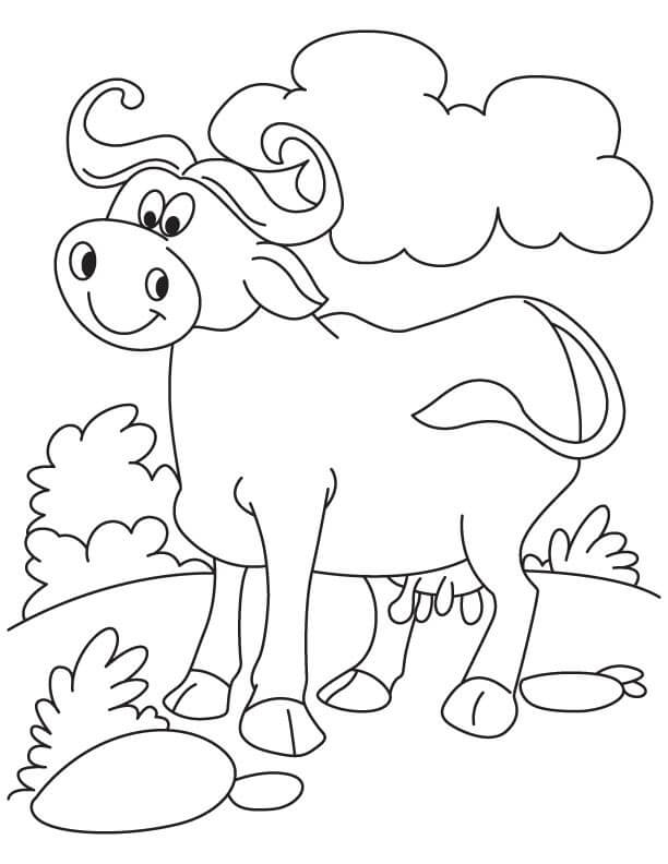 Dibujo de Bufalo Con Roca para Colorear y Imprimir