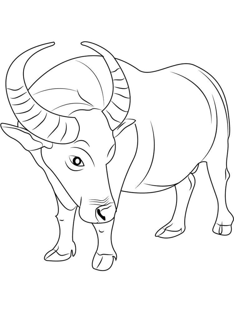 Dibujo de Bufalo Normal para Colorear y Imprimir