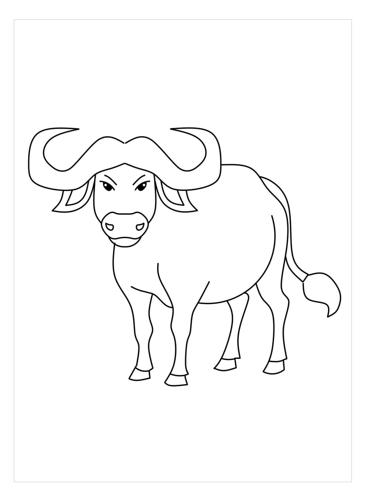 Dibujo de Bufalo Perfecto para Colorear y Imprimir
