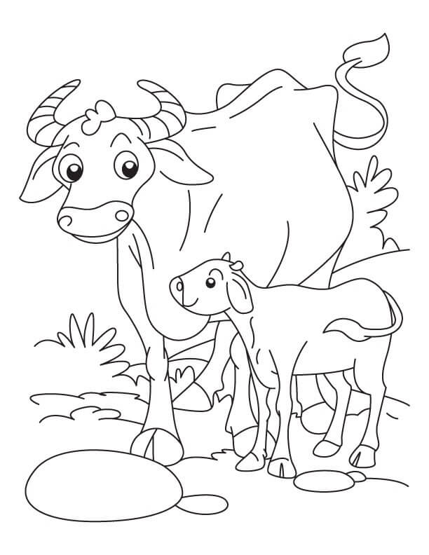 Dibujo de Madre Bufalo y Bebé Bufalo para Colorear y Imprimir