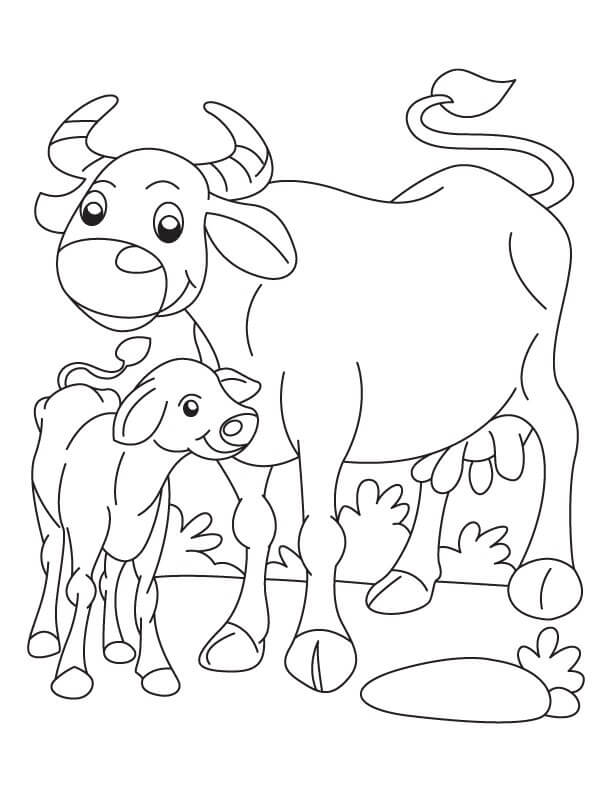 Dibujo de Mamá Bufalo Con Bebé Bufalo para Colorear y Imprimir