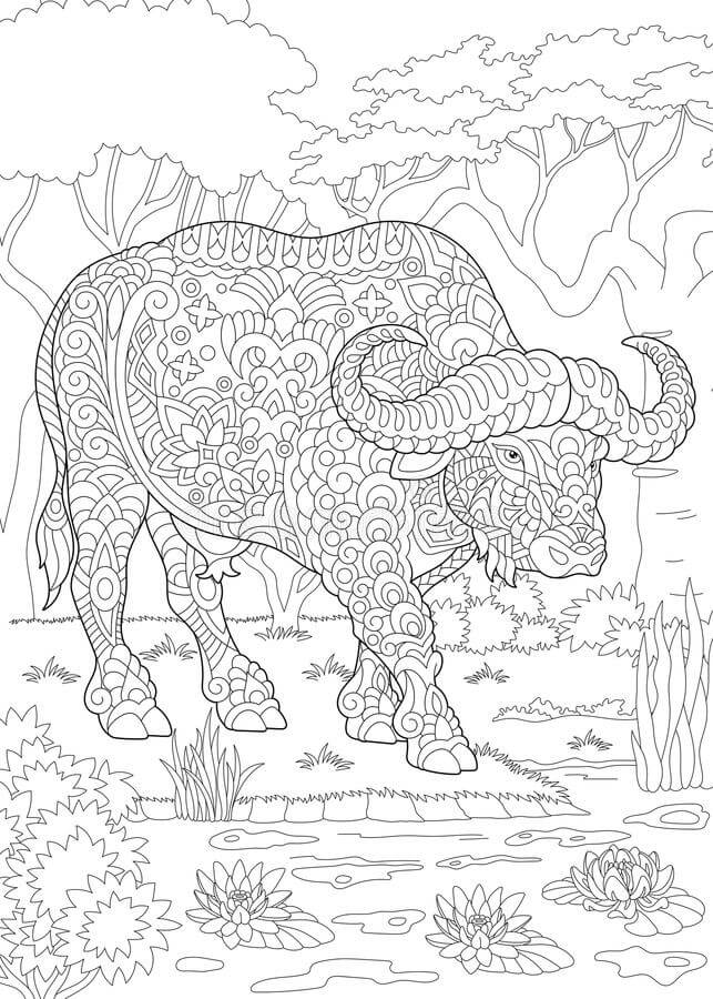 Dibujo de Mándala de Bufalo para Colorear y Imprimir