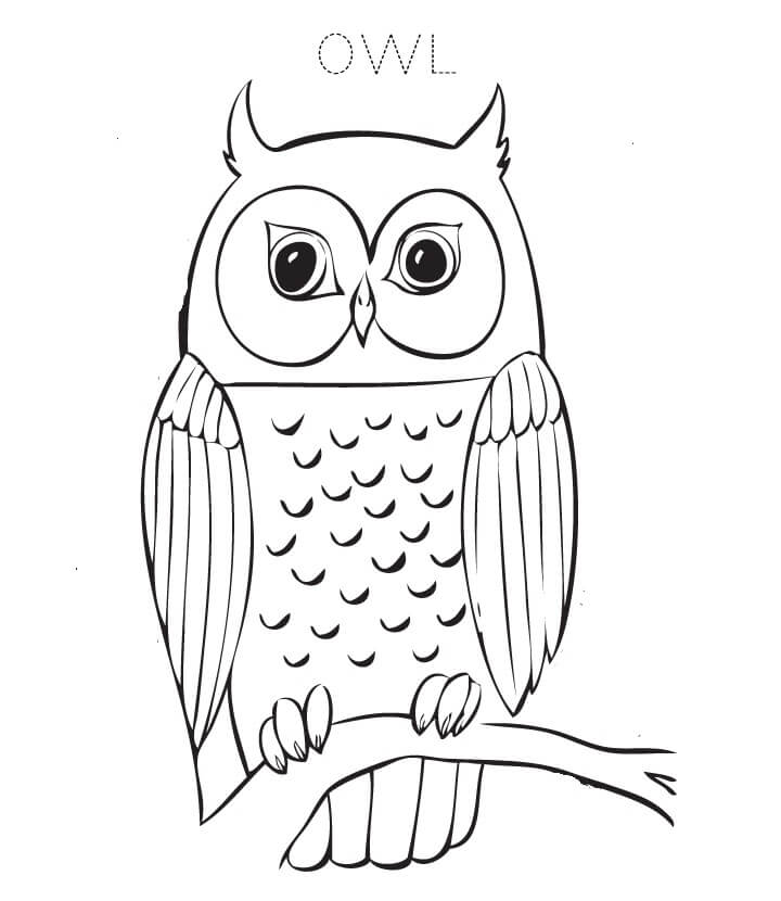 Dibujo de Bonito Búho para Colorear y Imprimir