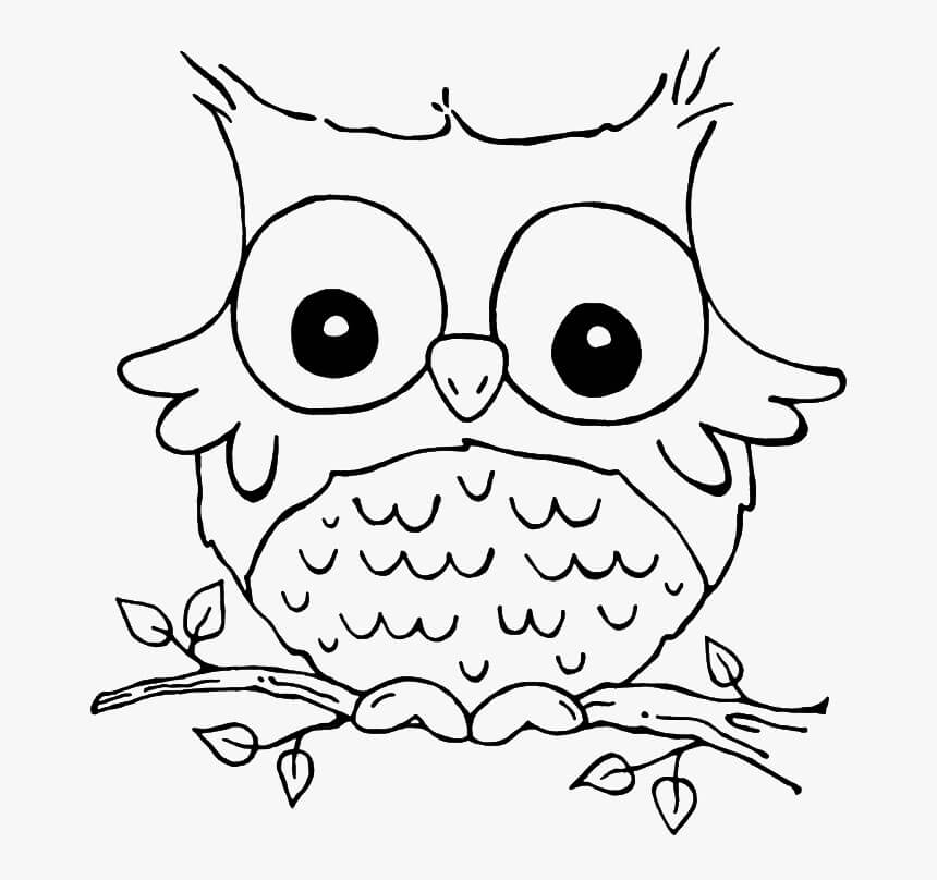 Dibujo de Búho Adorable para Colorear y Imprimir