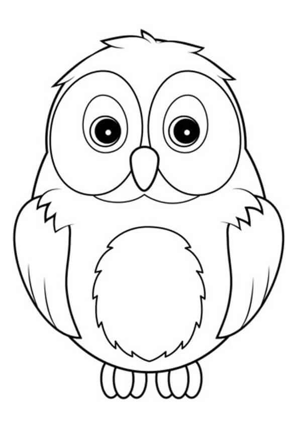 Dibujo de Búho Asombroso para Colorear y Imprimir