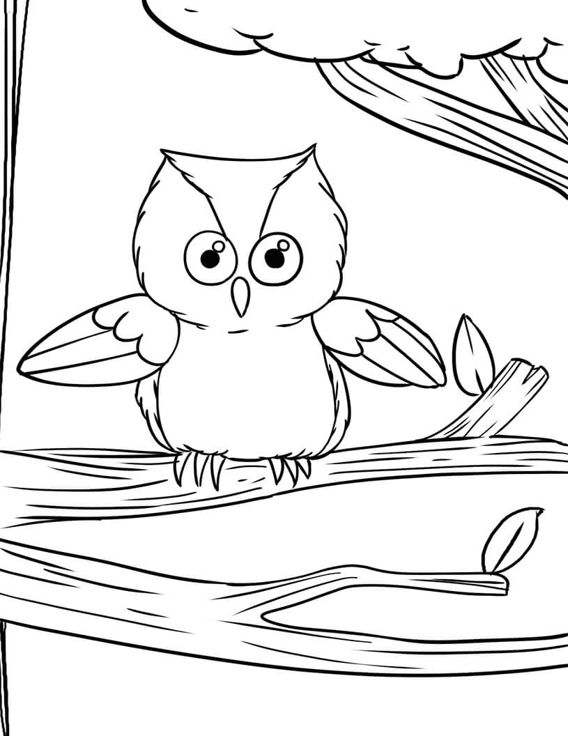 Dibujo de Búho Beanie Boos para Colorear y Imprimir