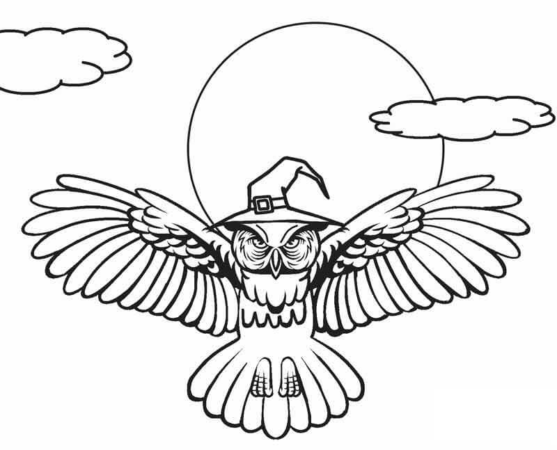Dibujo de Búho Bruja Volando para Colorear y Imprimir