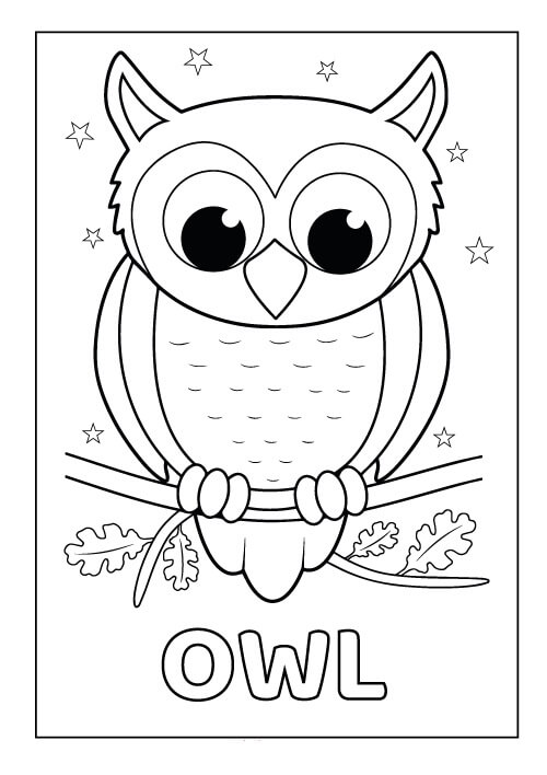 Dibujo de Búho Con Estrella para Colorear y Imprimir