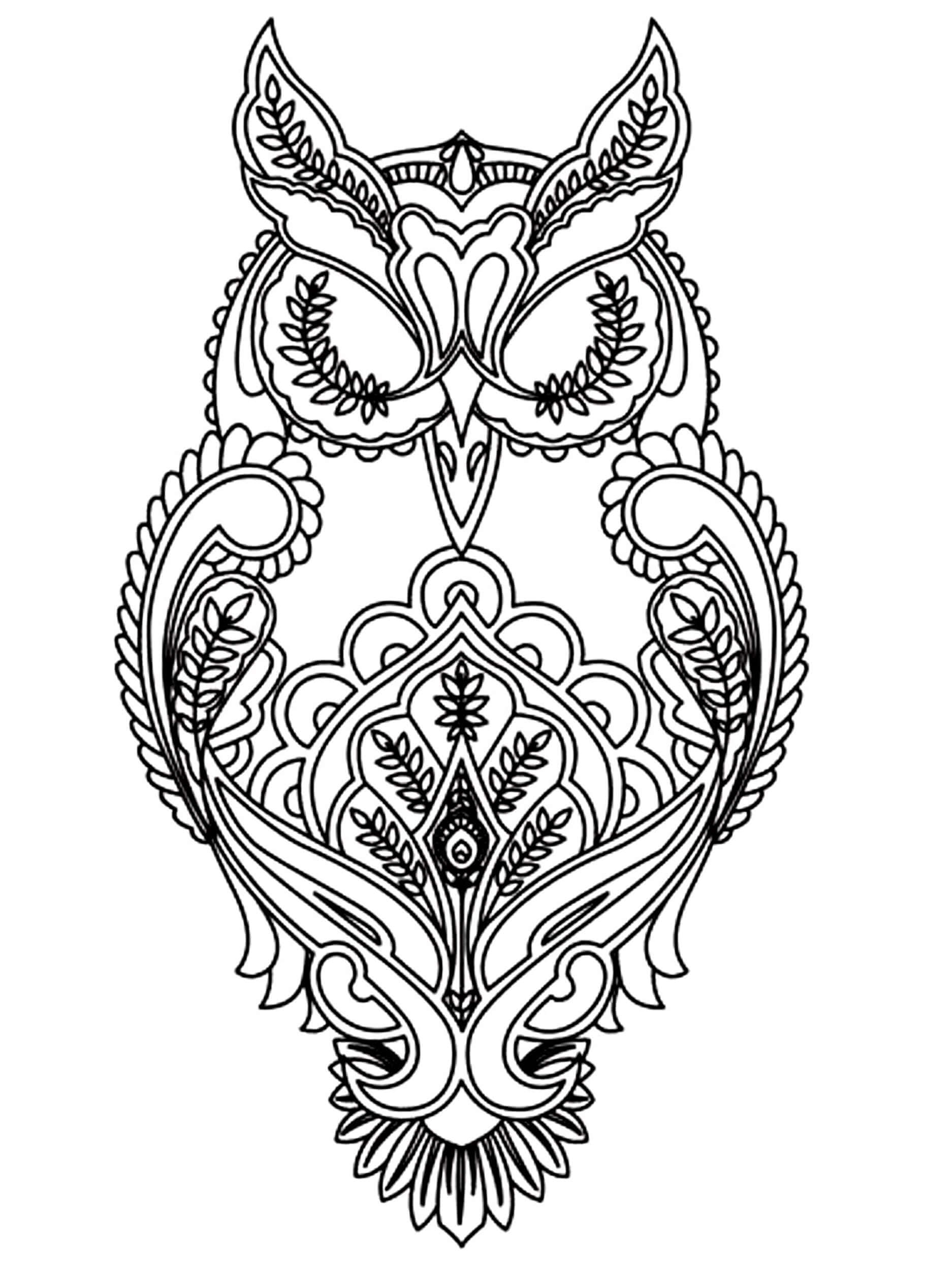 Dibujo de Búho Imprimible para Colorear y Imprimir