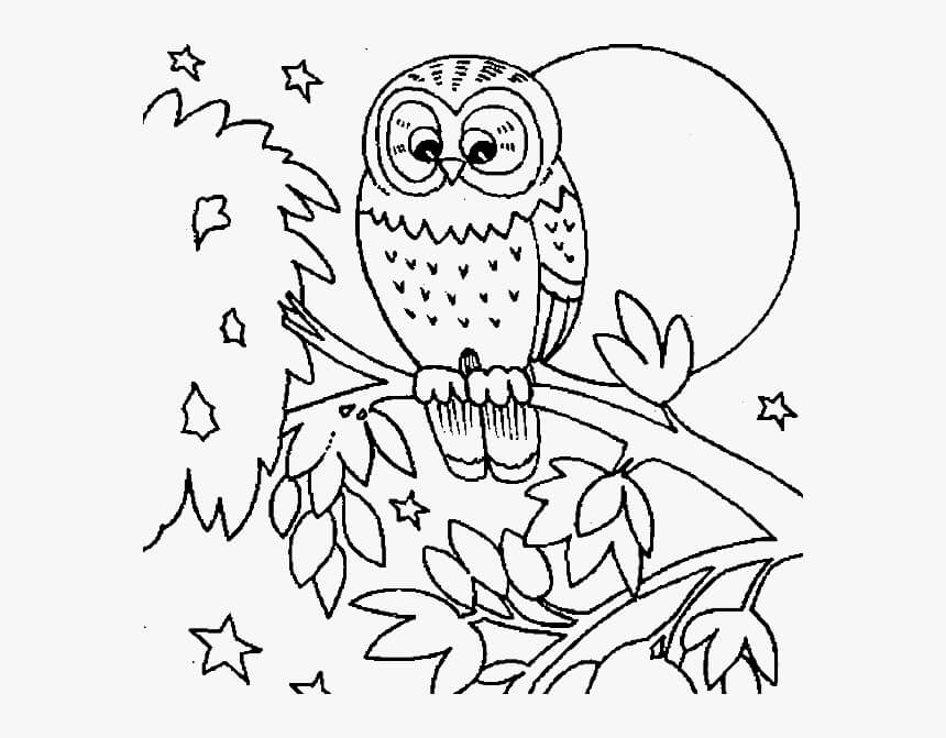 Dibujo de Búho Normal para Colorear y Imprimir