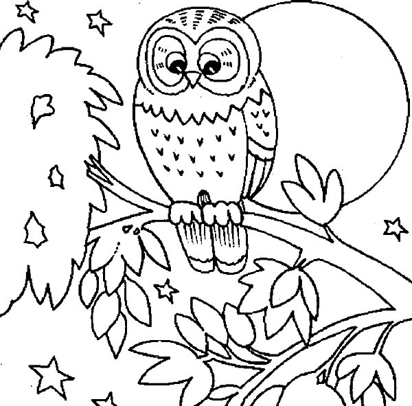 Dibujo de Búho Perfecto para Colorear y Imprimir
