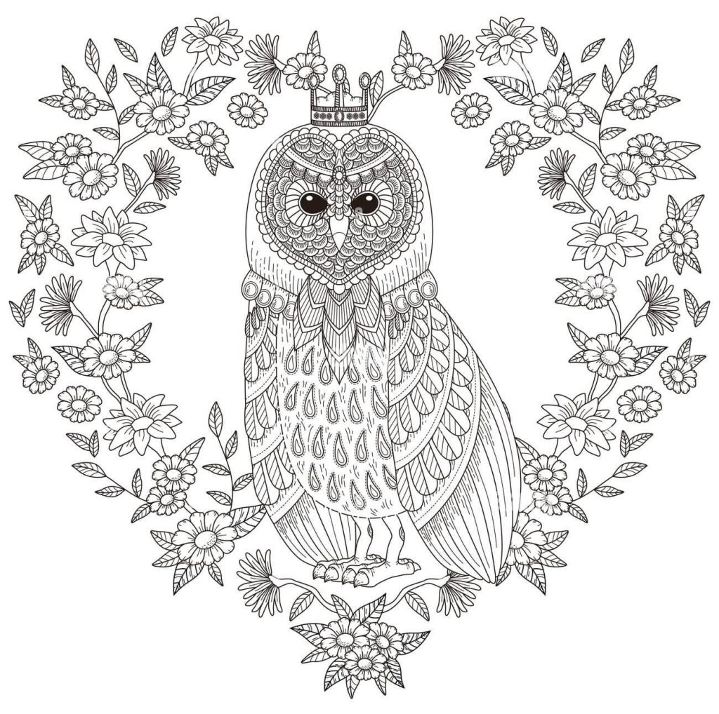 Dibujo de Búho Precioso para Colorear y Imprimir