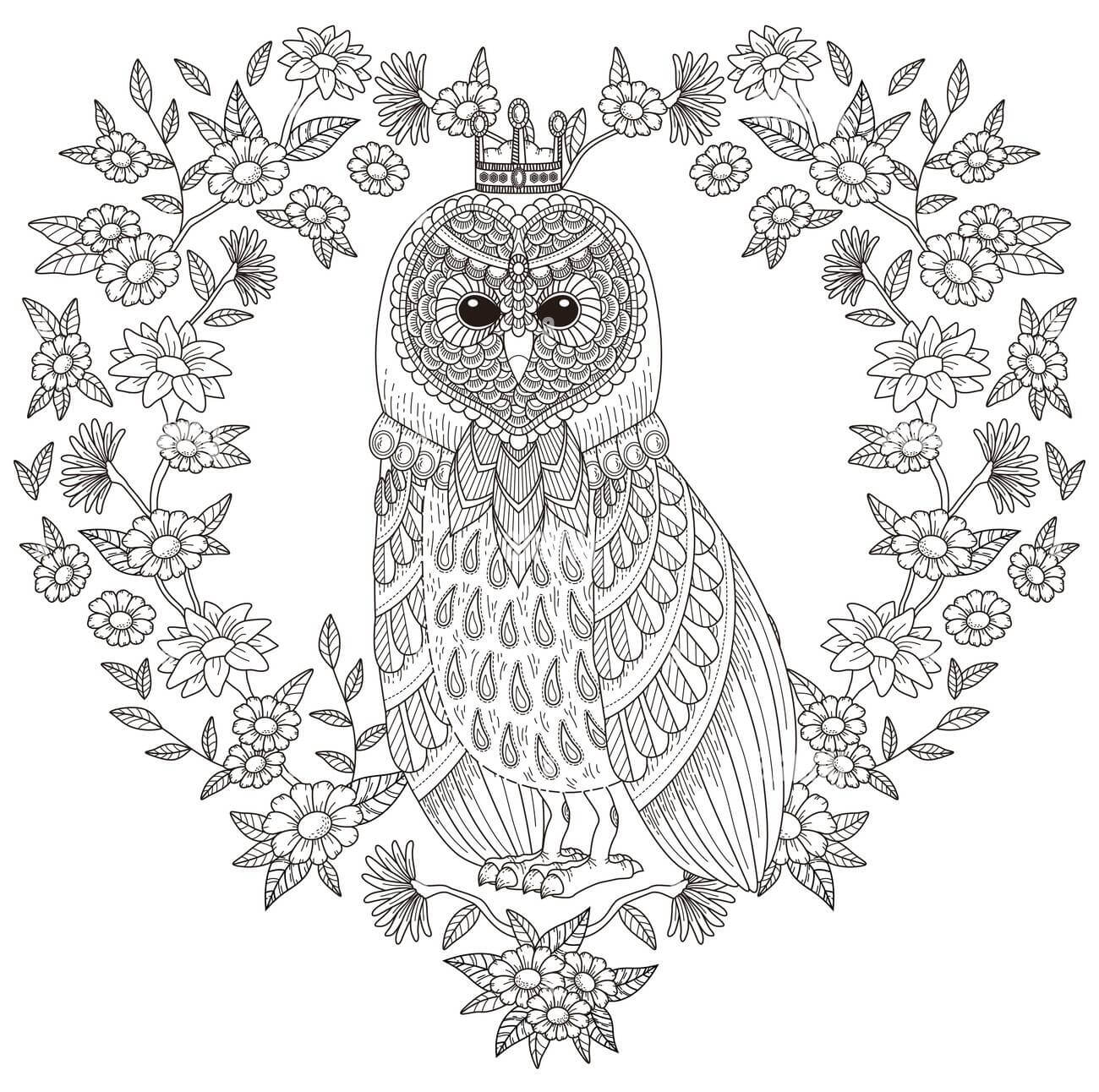 Dibujo de Búho Precioso para Colorear y Imprimir