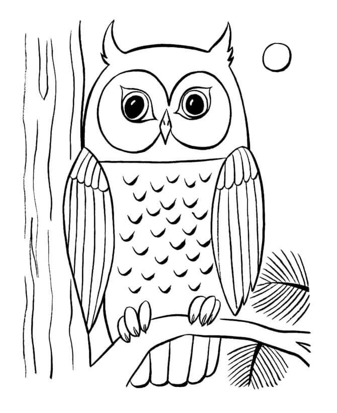 Dibujo de Búho Sencillo para Colorear y Imprimir