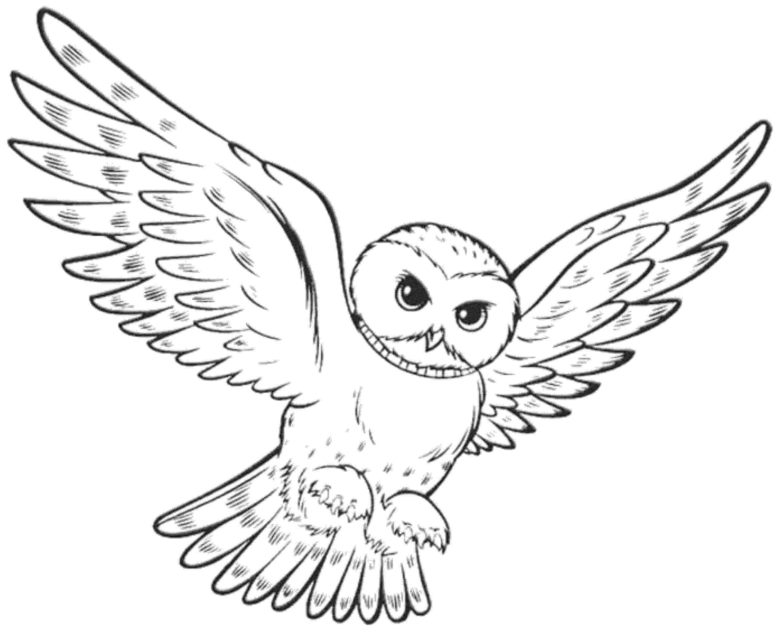 Dibujo de Búho Volando para Colorear y Imprimir
