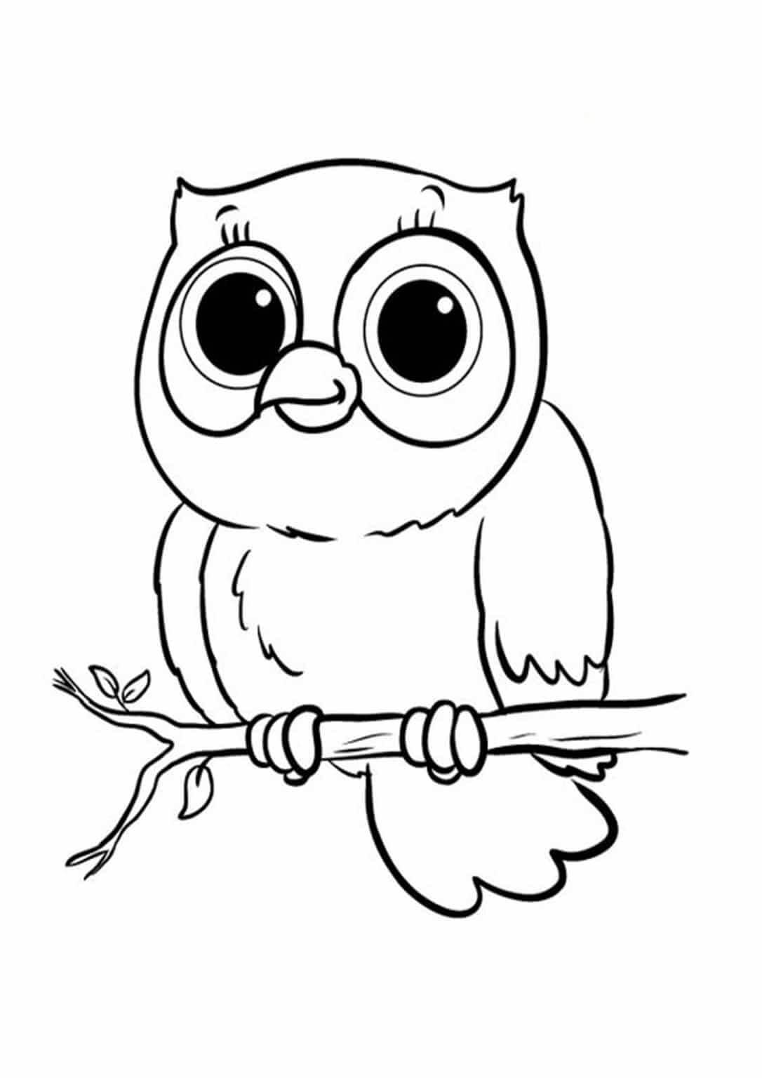 Dibujo de Lindo Búho En Rama de Árbol para Colorear y Imprimir