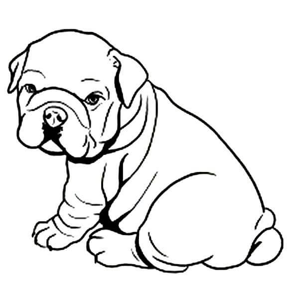 dibujo bebe bulldog sentado para colorear