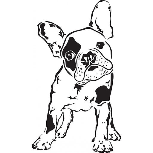 dibujo buenos bulldogs para colorear