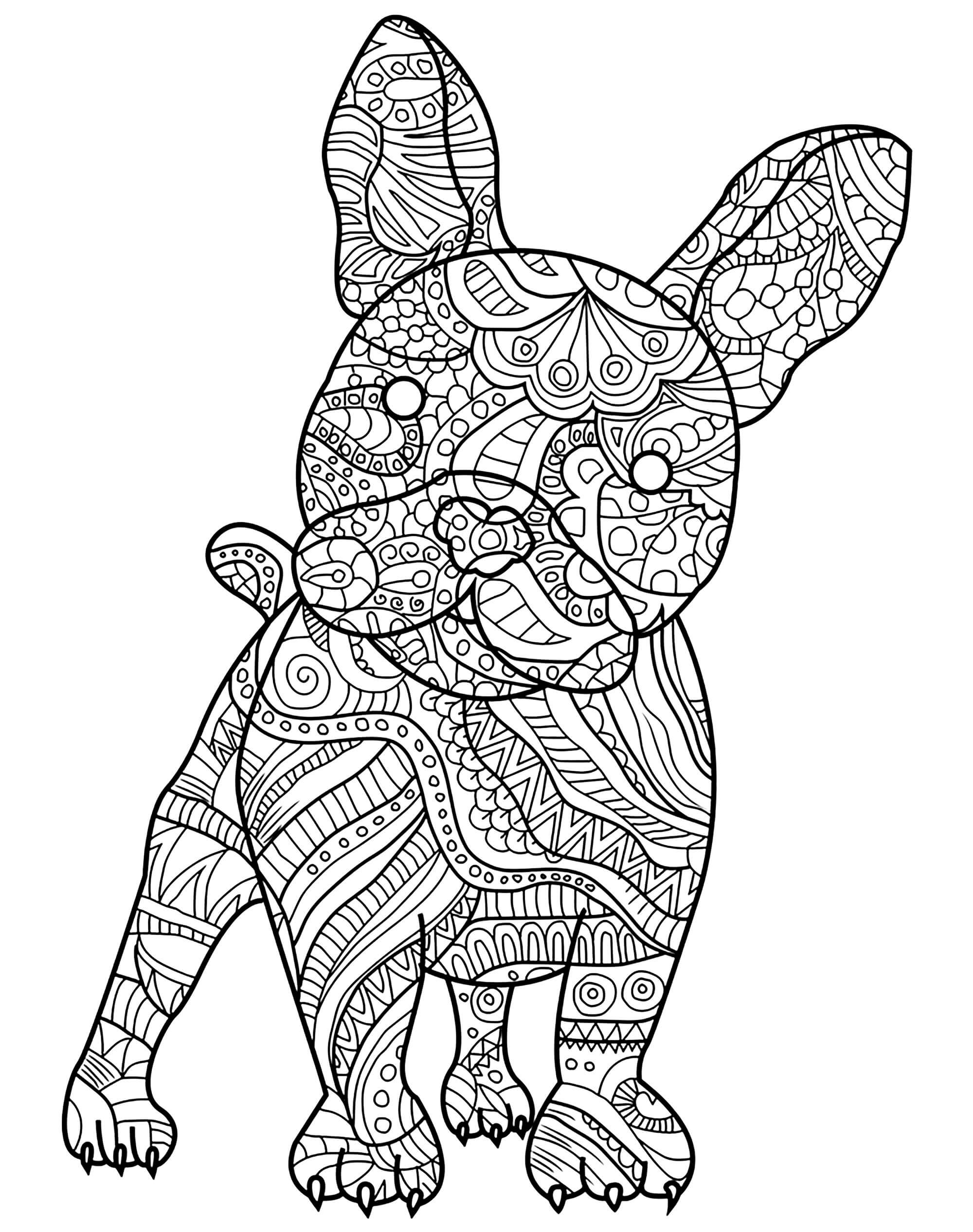dibujo bulldog adulto para colorear