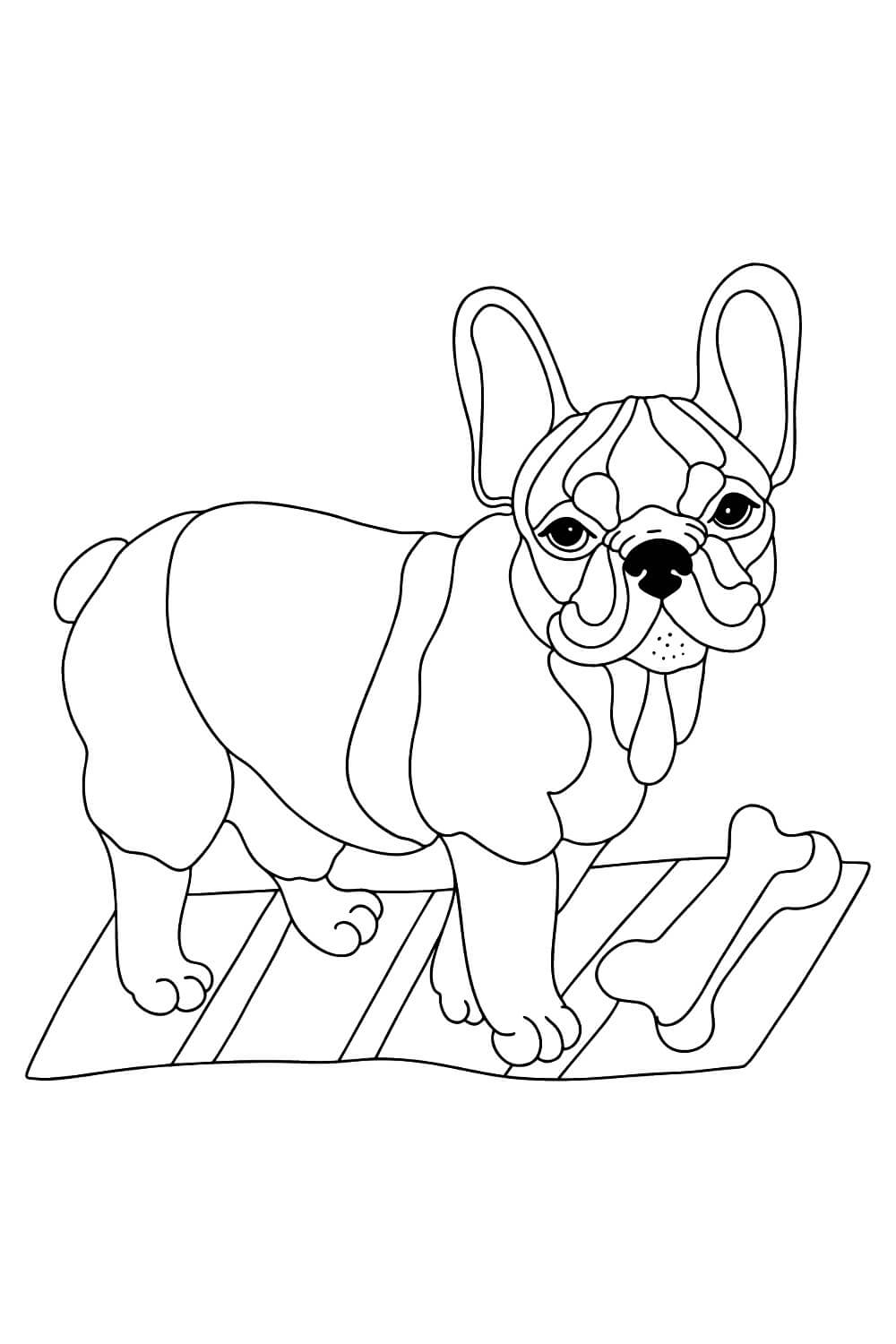 dibujo bulldog con hueso para colorear