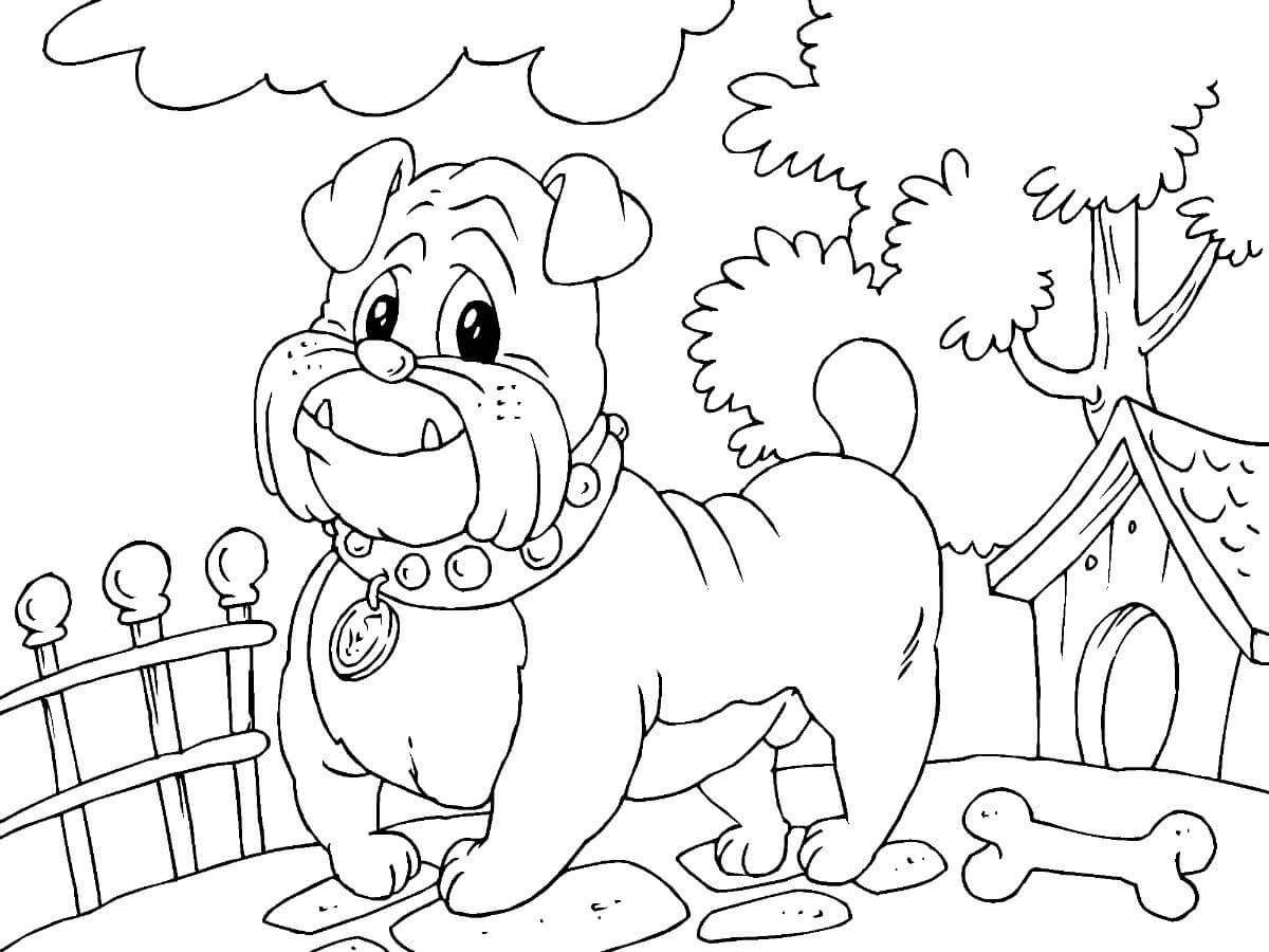 dibujo bulldog de dibujos animados para colorear
