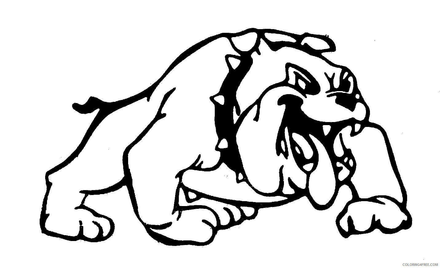 dibujo bulldog divertido para colorear