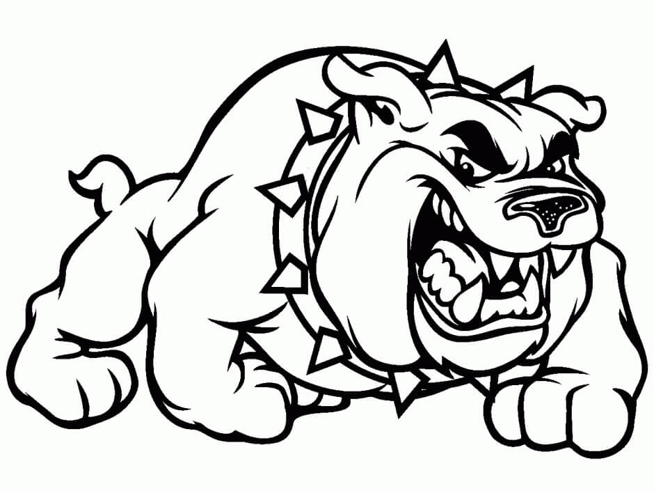 dibujo bulldog enojado para colorear