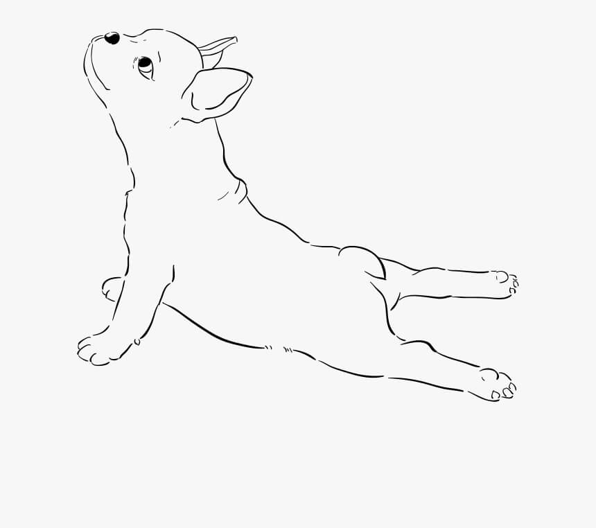 dibujo bulldog frances con gorro de papa noel para colorear