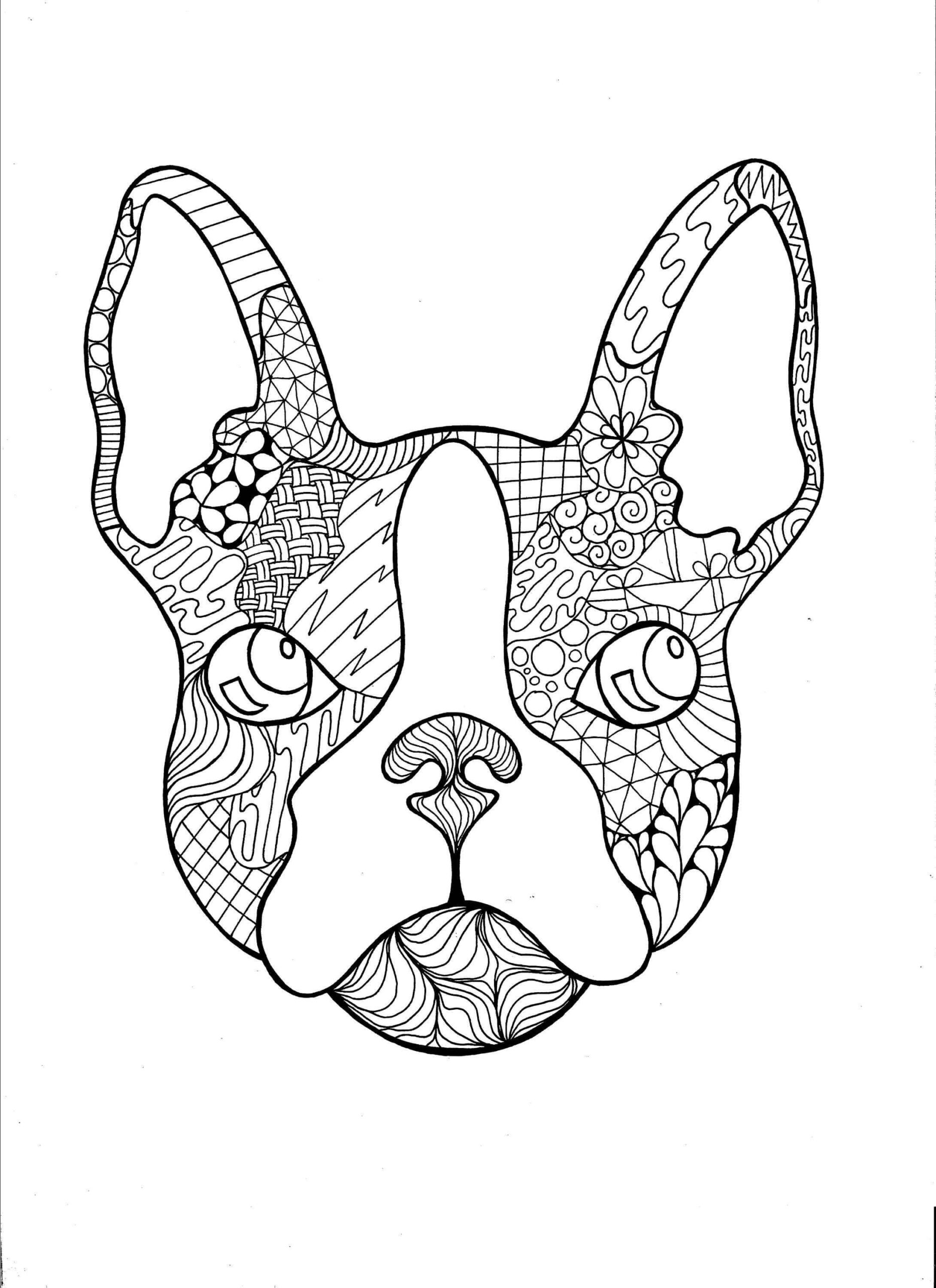 dibujo bulldog frances para colorear