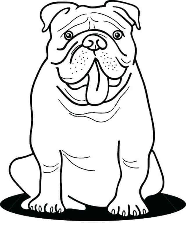 dibujo bulldog lindo para colorear