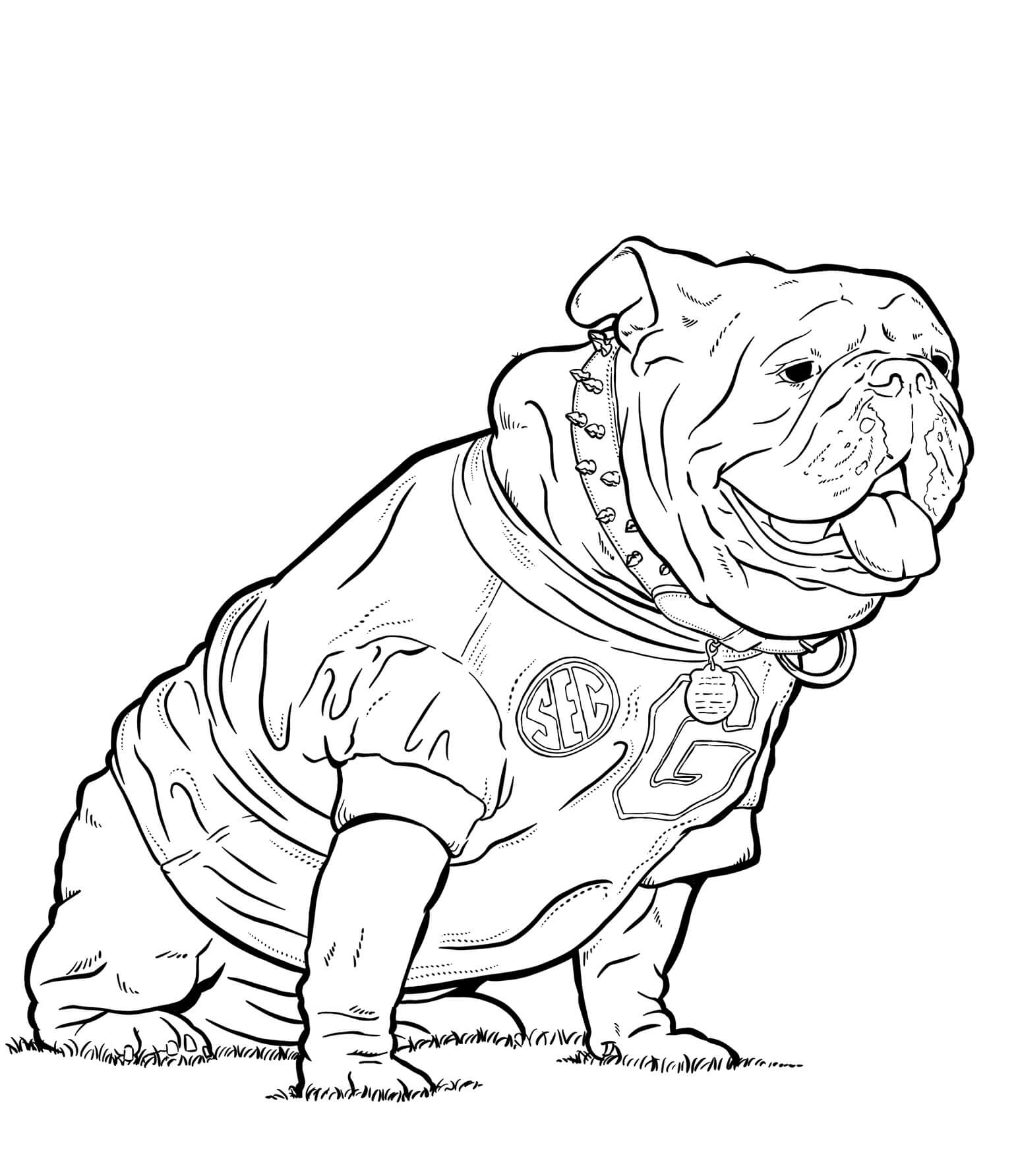 dibujo bulldog sentado para colorear