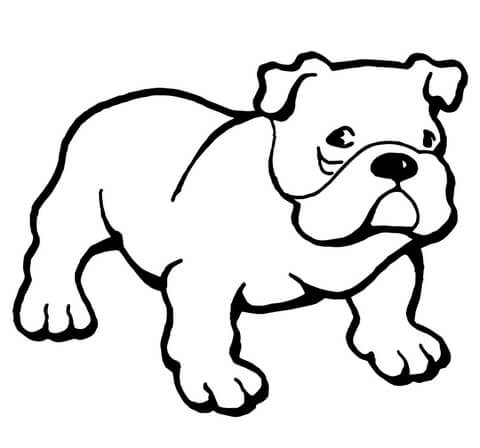 dibujo bulldogs de georgia para colorear