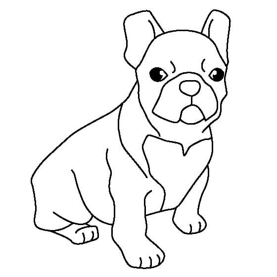 Dibujo de Bulldog Sentado para Colorear y Imprimir