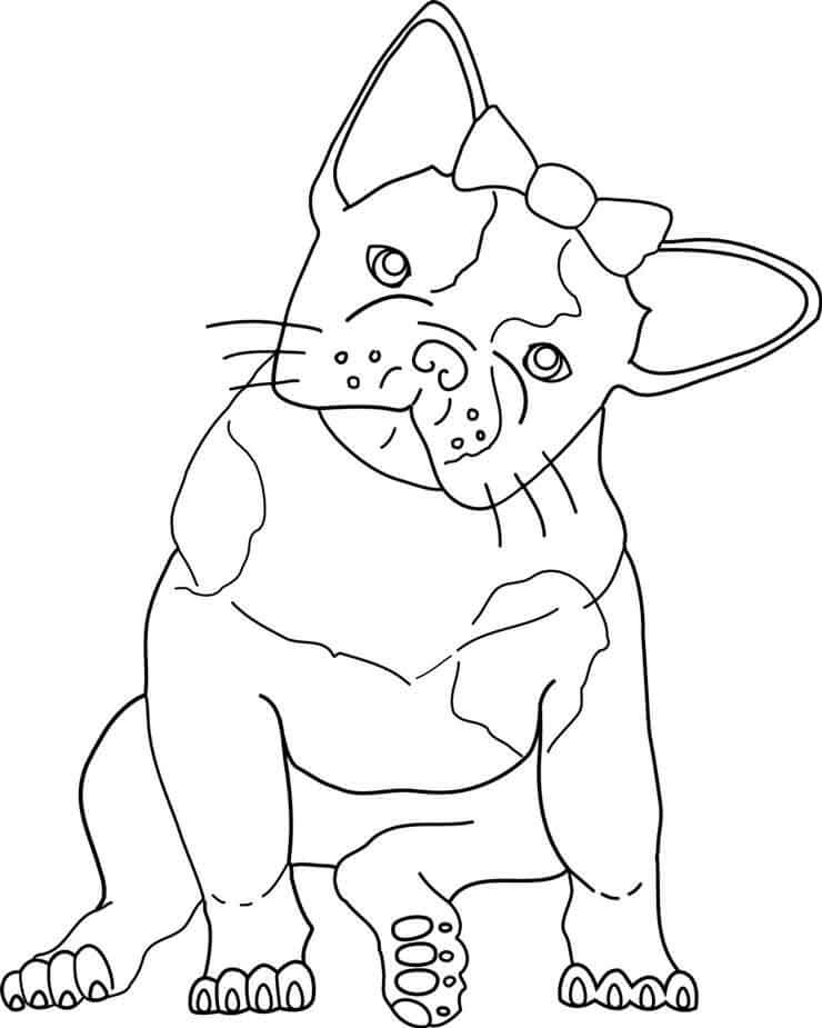 dibujo kawaii bulldog para colorear