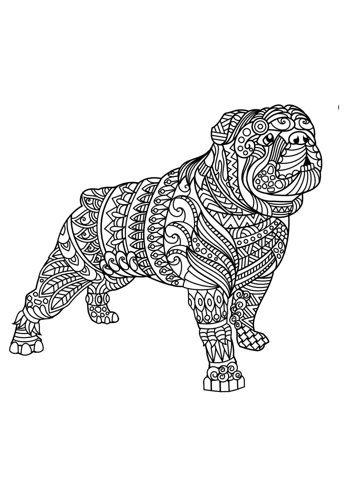 dibujo mandala de bulldog para colorear