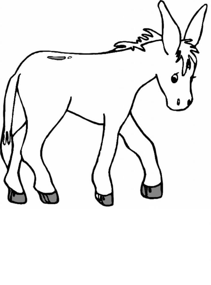 Dibujo de Burro Basíco para Colorear y Imprimir