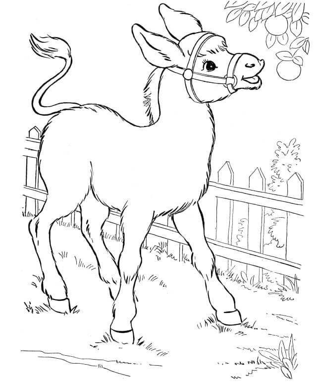 Dibujo de Burro Con Frutas para Colorear y Imprimir