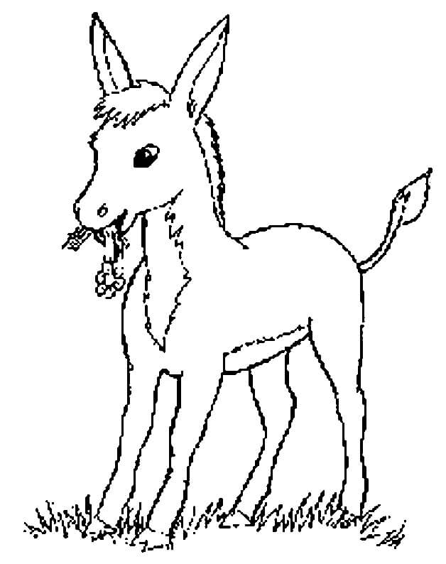 Dibujo de Burro de Dibujo En La Hierba para Colorear y Imprimir