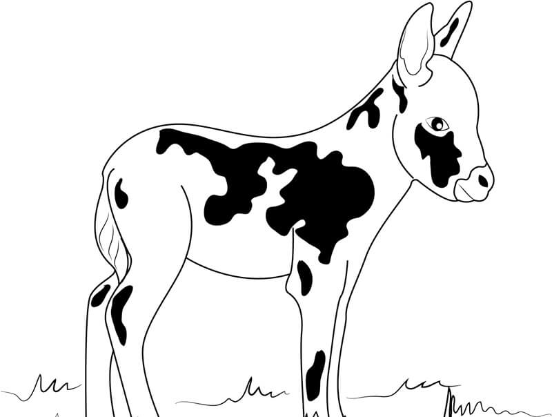Dibujo de Burro En Miniatura para Colorear y Imprimir