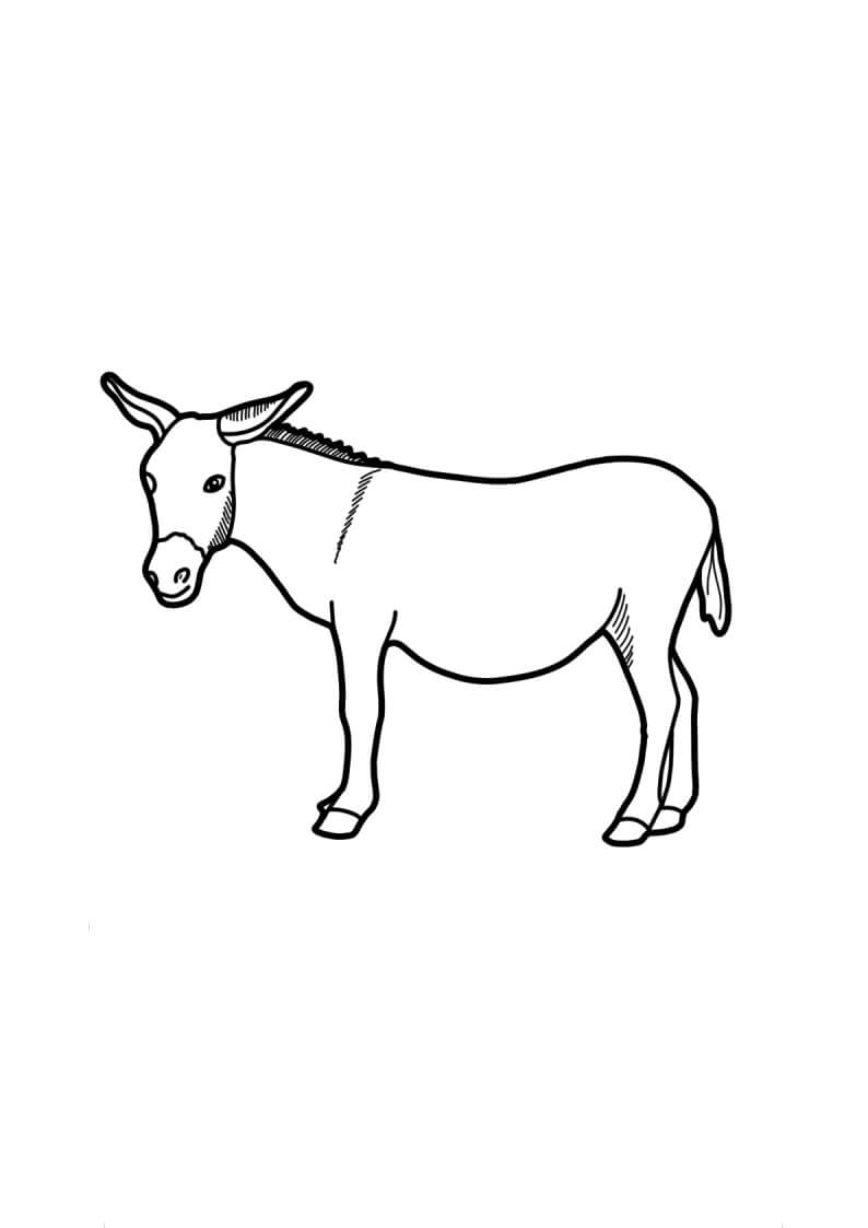 Dibujo de Burro Imprimible para Colorear y Imprimir