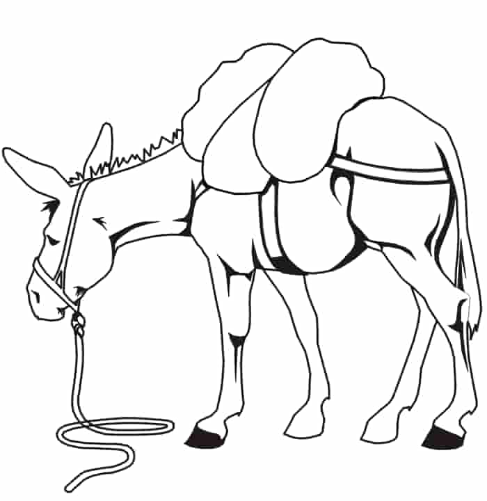 Dibujo de Burro Libre para Colorear y Imprimir