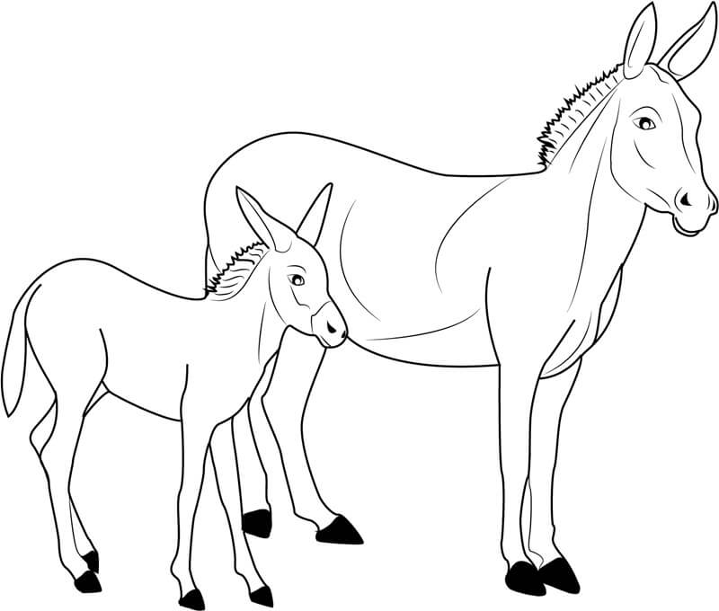 Dibujo de Burro Padre y Burro Bebé para Colorear y Imprimir