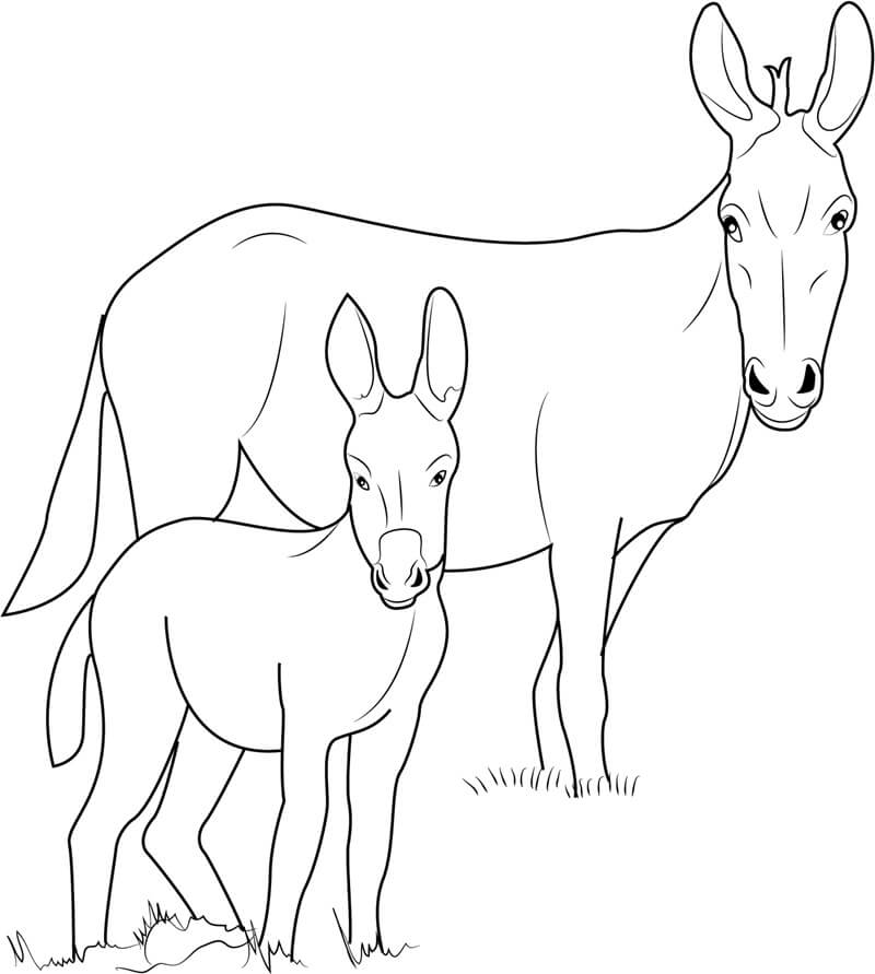 Dibujo de Burro Ponui para Colorear y Imprimir